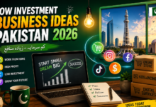 Low Investment Business